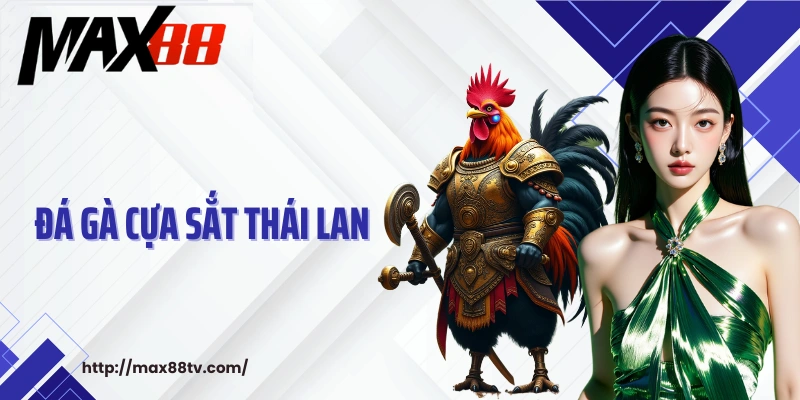 gà cựa sắt Thái Lan