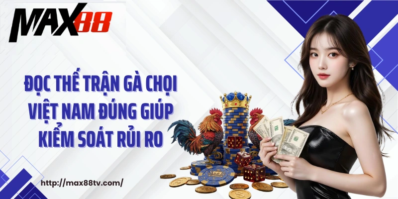 Đọc thế trận gà chọi Việt Nam đúng giúp kiểm soát rủi ro
