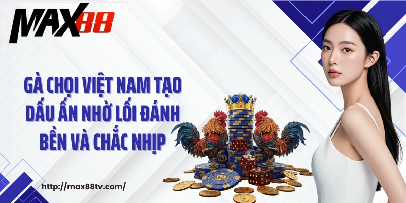 Gà chọi Việt Nam tạo dấu ấn nhờ lối đánh bền và chắc nhịp