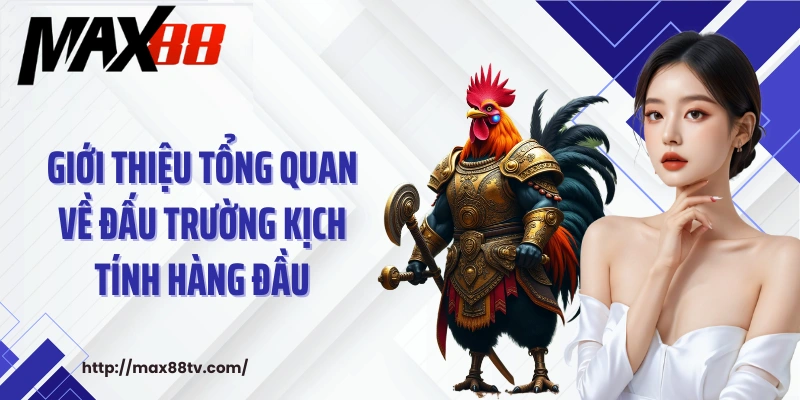 Giới thiệu tổng quan về đấu trường kịch tính hàng đầu